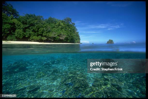 solomon island coast - solomon islands stock pictures, royalty-free photos & images