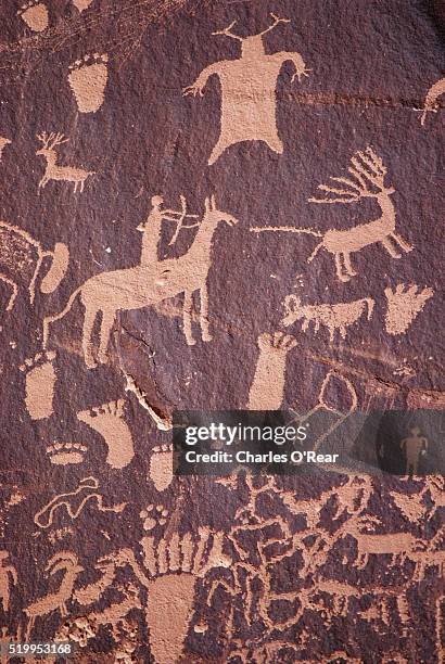 petroglyphs at newspaper rock - anasazi culture 個照片及圖片檔