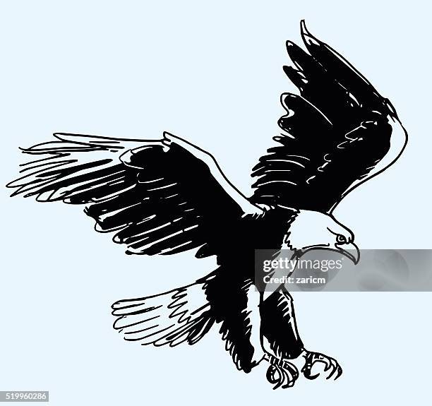 eagle - talon stock-grafiken, -clipart, -cartoons und -symbole