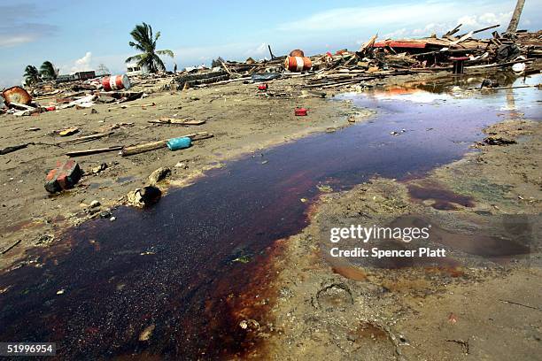 Oil leaked from barrels damaged in the tsunami seeps into the ground on the premises of the damaged petroleum plant January 15, 2005 in the province...