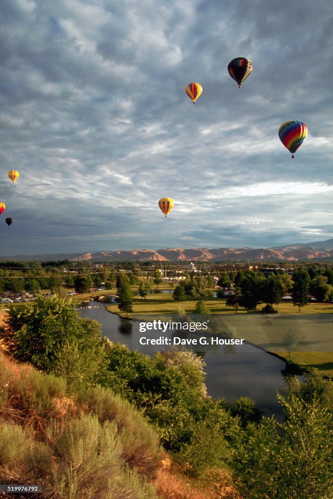 Hot Air Balloon Festival