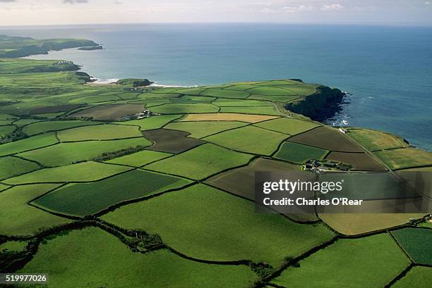 aerial view of coastal fields - cornwall england bildbanksfoton och bilder