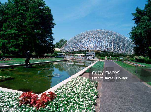 climatron at missouri botanical gardens - climatron stock pictures, royalty-free photos & images