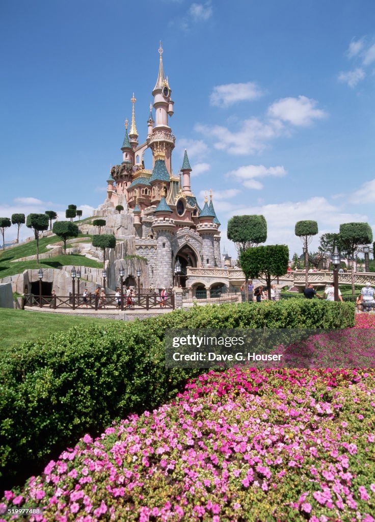 Sleeping Beauty's Castle