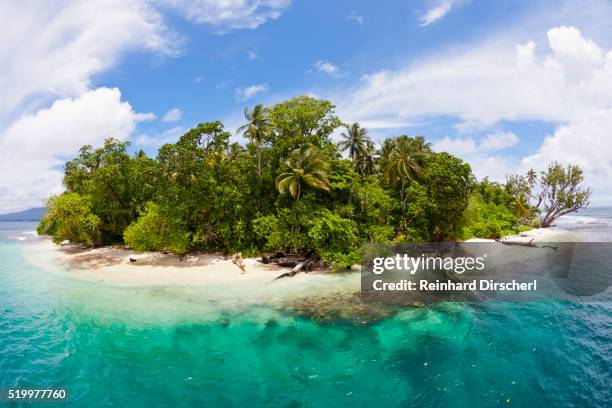 wickham island, solomon islands - isole salomone foto e immagini stock