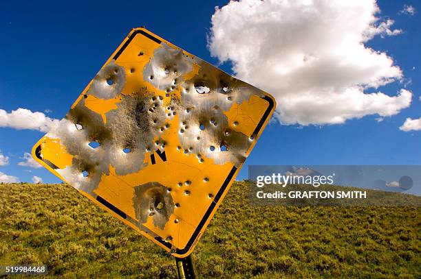 road sign with bullet holes - road sign bullet holes stock pictures, royalty-free photos & images