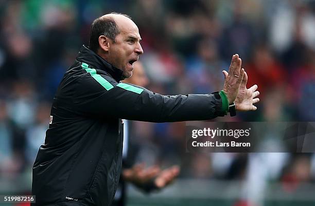 Head coach Viktor Skripnik of Bremen gestures during the Bundesliga match between Werder Bremen and FC Augsburg at Weserstadion on April 9, 2016 in...