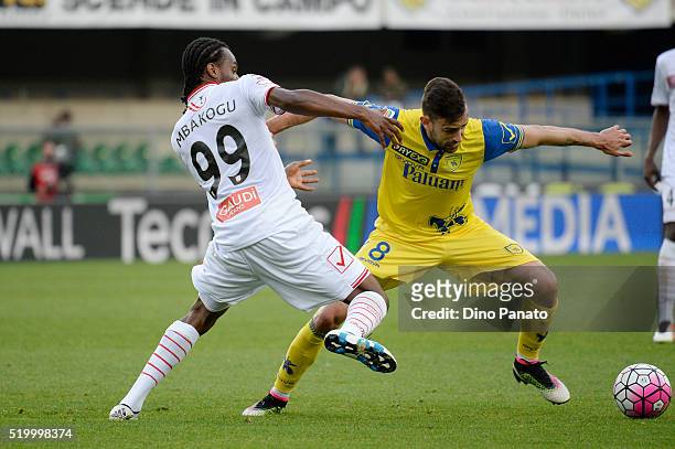 Ivan Radovanovic of Chievo Verona competes with Jerry Mbakogu of Carpi FC during the Serie A match between AC Chievo Verona and Carpi FC at Stadio...