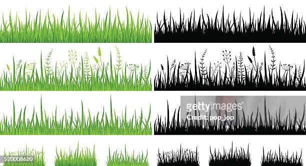 grünes grass-nahtlose musterung und silhouetten-illustration - blades of grass stock-grafiken, -clipart, -cartoons und -symbole