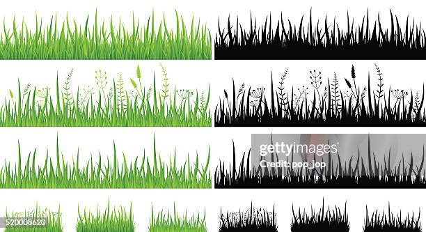 stockillustraties, clipart, cartoons en iconen met green grass - seamless pattern and silhouettes - illustration - grasspriet