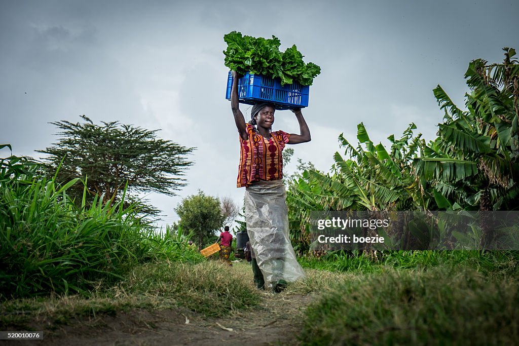 Vegetable farmer