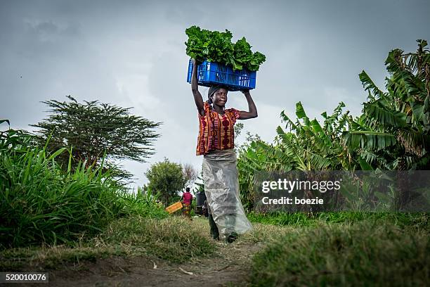 vegetable farmer - africa 個照片及圖片檔