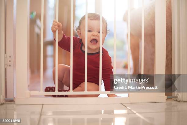 baby boy upset at the baby gate - baby gate stock pictures, royalty-free photos & images