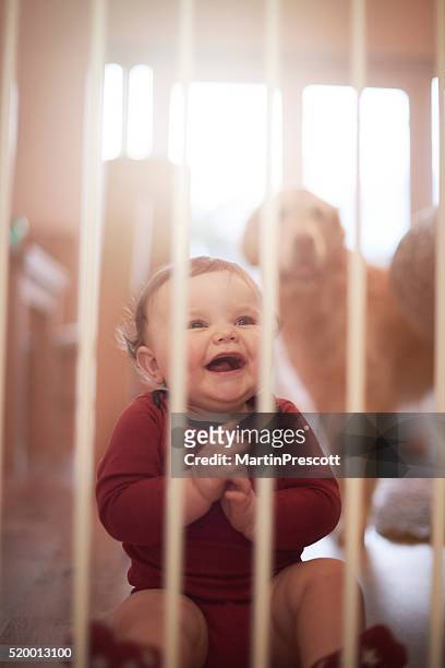bebê menino rir por trás do portão de segurança bebé - baby gate imagens e fotografias de stock