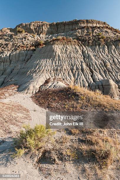 dinosaur provincial park, badlands landscape - dinosaur provincial park imagens e fotografias de stock