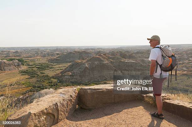 dinosaur provincial park, badlands landscape - dinosaur provincial park imagens e fotografias de stock