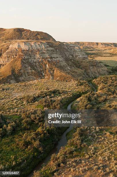 dinosaur provincial park, badlands landscape - dinosaur provincial park stockfoto's en -beelden