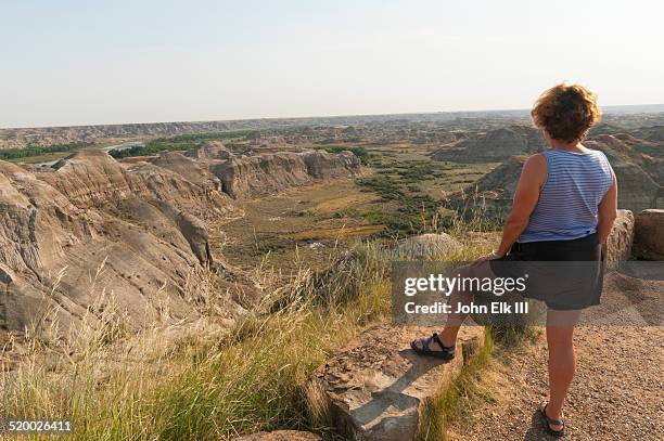 dinosaur provincial park, badlands landscape - dinosaur provincial park foto e immagini stock