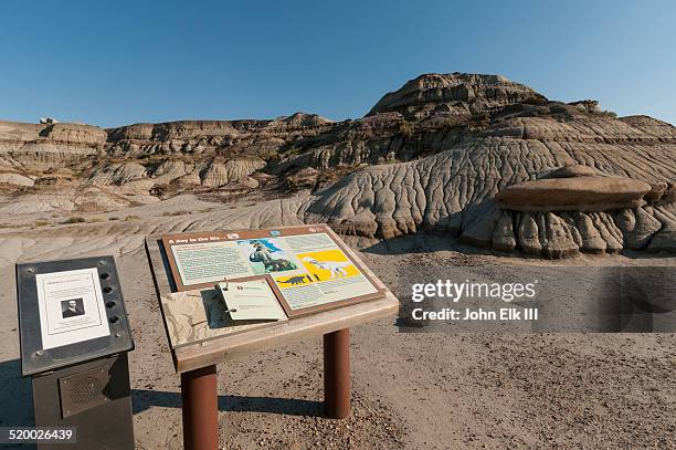 dinosaur provincial park landscape - dinosaur provincial park imagens e fotografias de stock