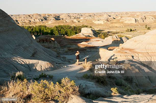 dinosaur provincial park, badlands landscape - dinosaur provincial park imagens e fotografias de stock