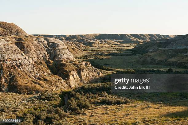 dinosaur provincial park, badlands landscape - dinosaur provincial park stockfoto's en -beelden