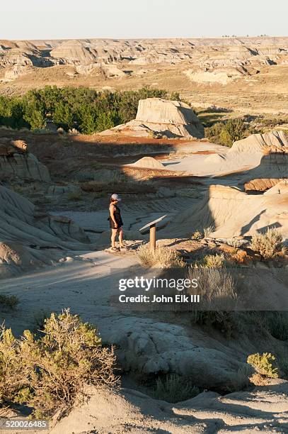 dinosaur provincial park, badlands landscape - dinosaur provincial park foto e immagini stock