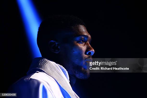 Anthony Joshua of England enters the arena before the IBF World Heavyweight title fight against Charles Martin of the United States at The O2 Arena...