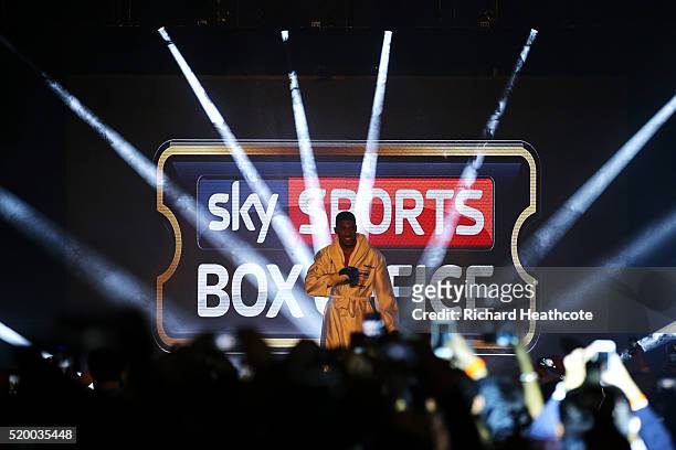 Anthony Joshua of England enters the arena before the IBF World Heavyweight title fight against Charles Martin of the United States at The O2 Arena...