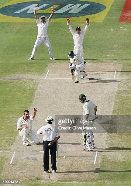 Ashley Giles of England appeals successfully for the wicket of Herschelle Gibbs of South Africa, during the fifth day of the fourth test match...