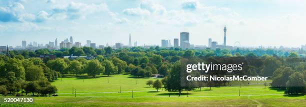 london skyline and primrose hill park panorama - distant city stock pictures, royalty-free photos & images