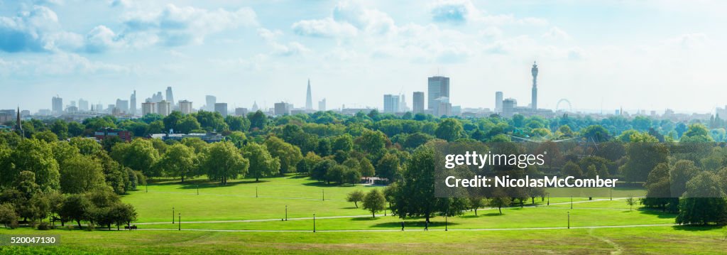 London Skyline and Primrose hill park panorama