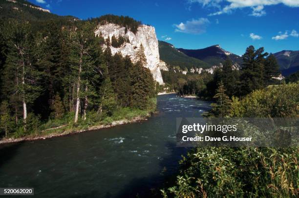 gallatin river in montana - river missouri stock pictures, royalty-free photos & images