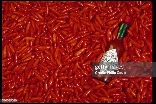 tabasco peppers and tabasco sauce - hot sauce stock pictures, royalty-free photos & images