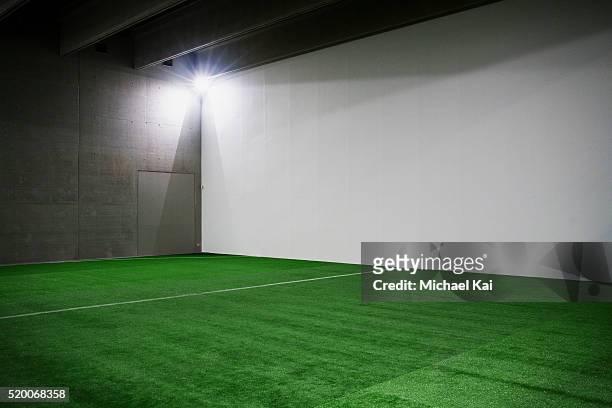 indoor soccer field - turf bildbanksfoton och bilder