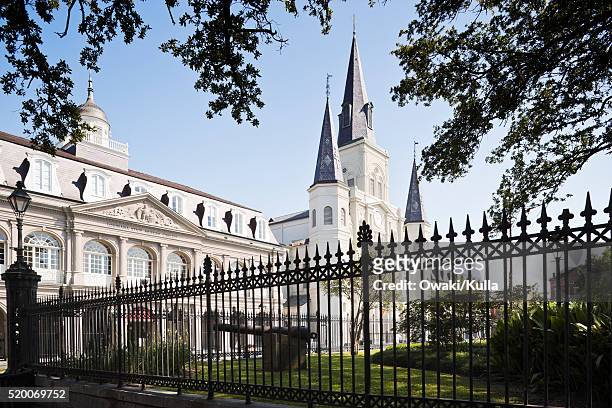 the cabildo and st. louis cathedral - jackson square new orleans stock pictures, royalty-free photos & images