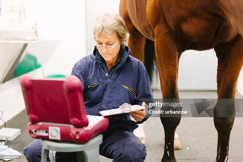 Fetlock ultrasound