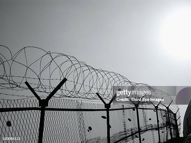 barbed wire fence. - barb wire stock-fotos und bilder