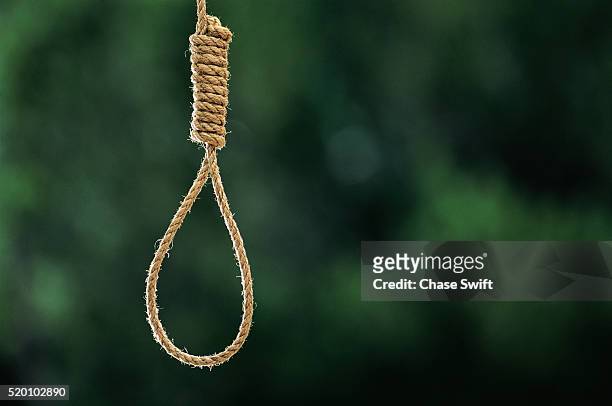 hangman's noose - hanging stock pictures, royalty-free photos & images