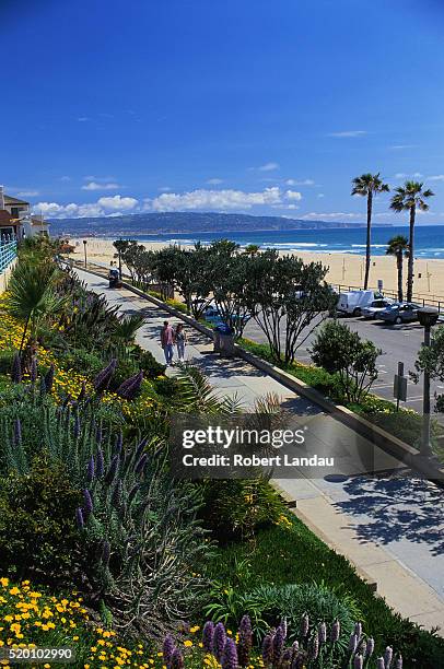 manhattan beach - manhattan beach stockfoto's en -beelden