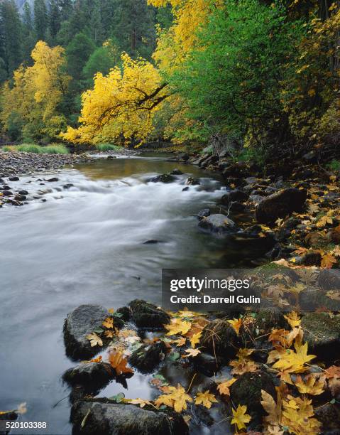 Merced Canal The Merced River Photos and Premium High Res Pictures - Getty Images