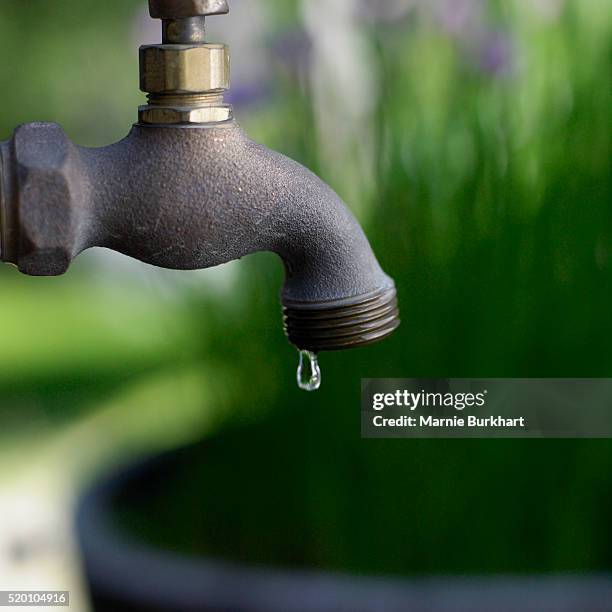 dripping water faucet - water wastage stock pictures, royalty-free photos & images