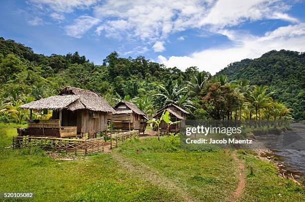 mamanwa village - asia village river stock pictures, royalty-free photos & images