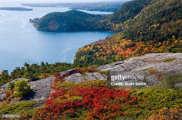 acadia national park, maine. usa. view foliage in autumn & sailboat anchored in somes sound from acadia mountain in autumn. mt. desert island. - acadia national park stock pictures, royalty-free photos & images