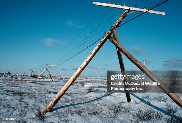 tripod utility poles - permafrost stock-fotos und bilder