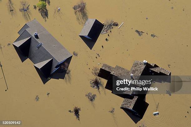 house rooftops in flood - flood stock-fotos und bilder