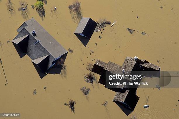 house rooftops in flood - flood stockfoto's en -beelden