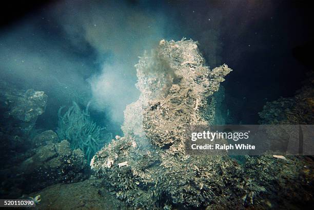 murky water around hydrothermal vent - marine hydrothermal vent stock pictures, royalty-free photos & images