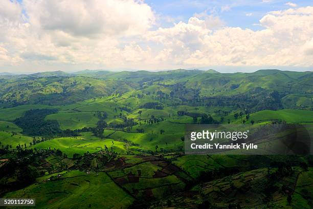 aerial photograph of north kivu, fields and forest - zaire stock pictures, royalty-free photos & images