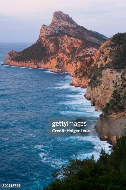 Colomer Colomer Photos and Premium High Res Pictures - Getty Images