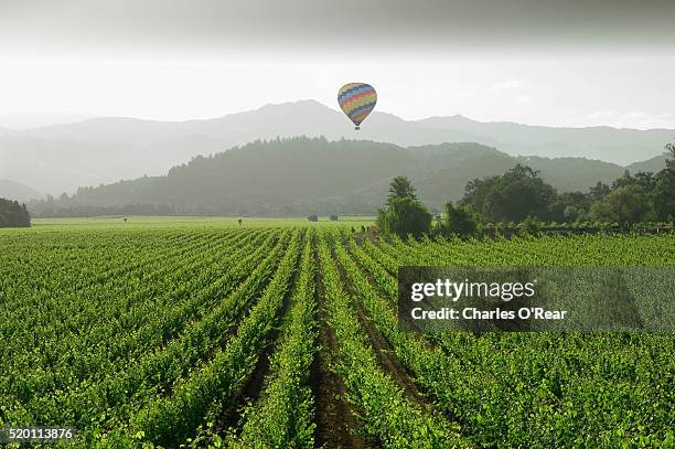 balloon over napa valley - napa valley stock-fotos und bilder